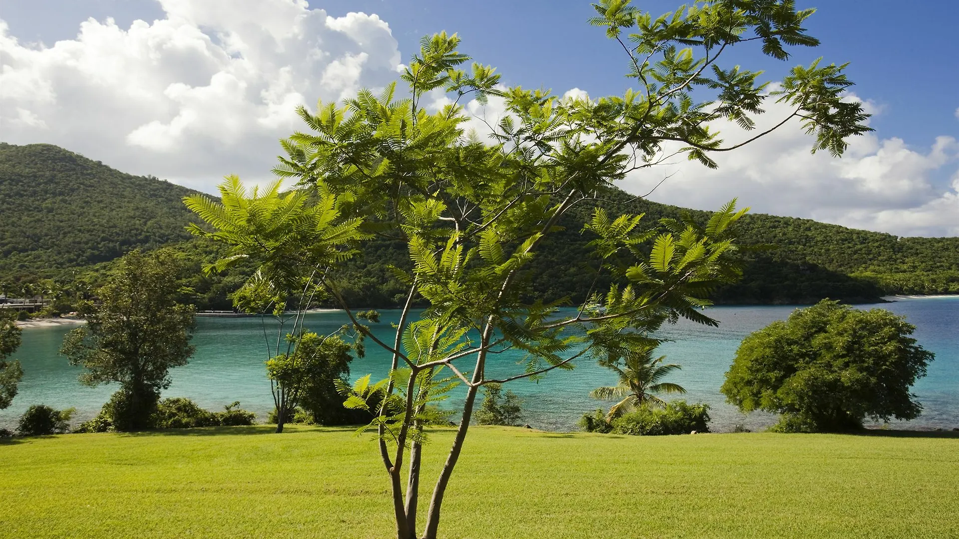 Caneel Bay Resort Cruz Bay