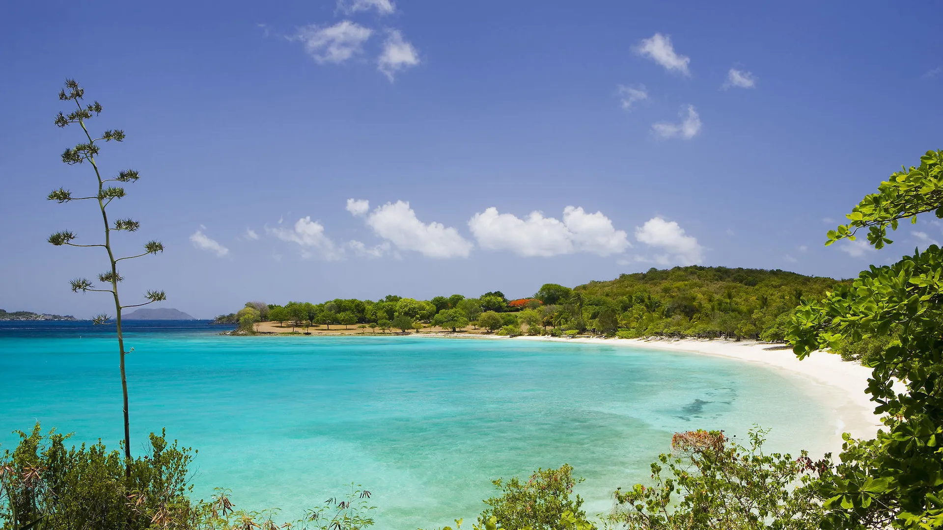 Caneel Bay Resort Cruz Bay