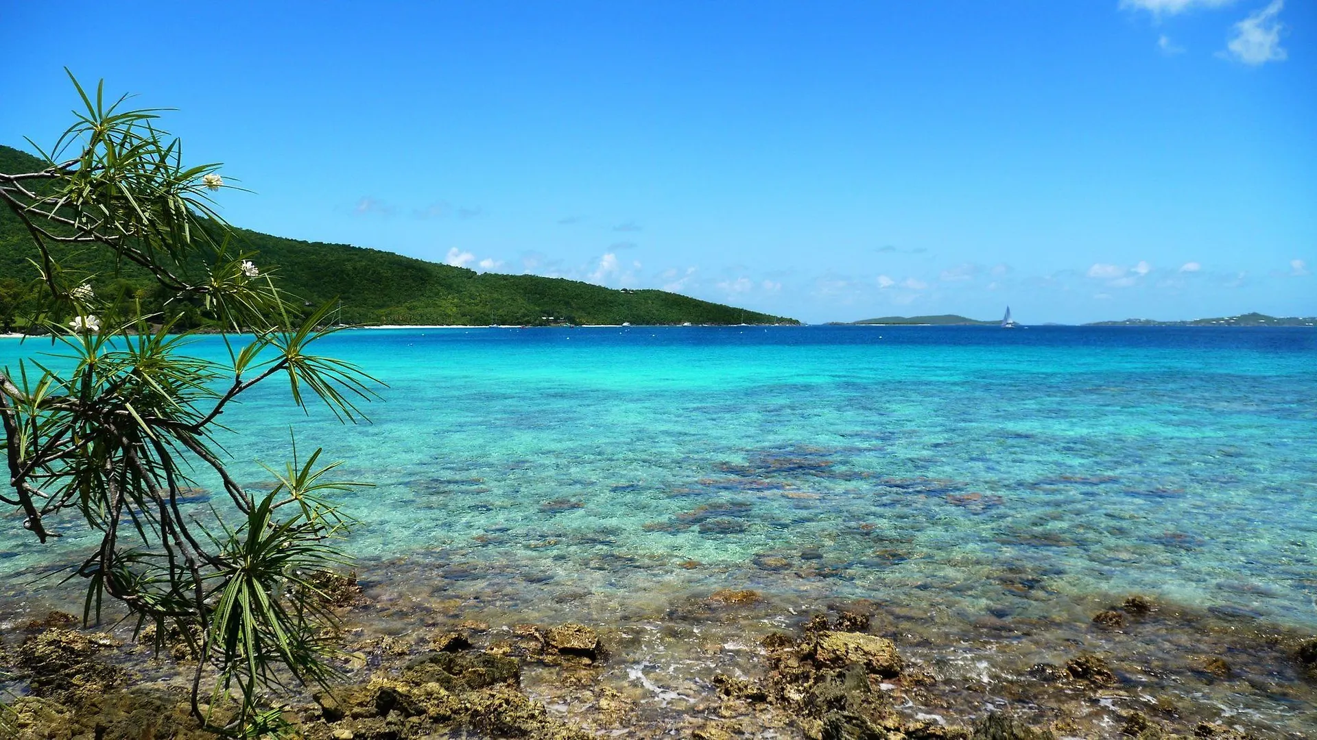 Caneel Bay Resort Cruz Bay