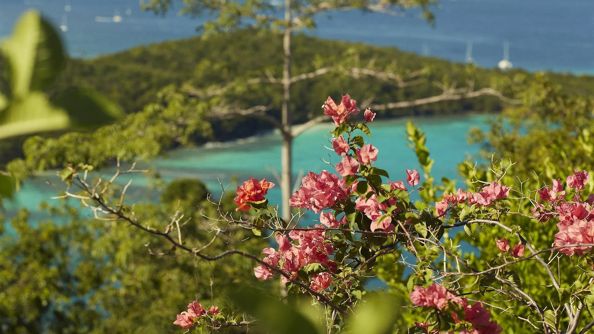 *****  Caneel Bay Resort Cruz Bay Amerikanska Jungfruöarna